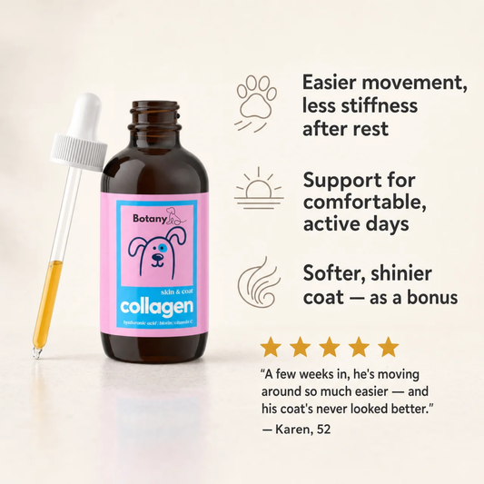 Botany Liquid Collagen for Dogs